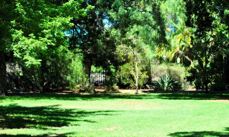Free stock image of Green Garden created by Robert Priest