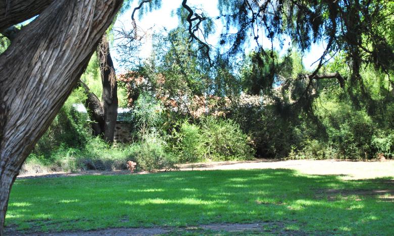 Free stock image of Green Garden created by Robert Priest