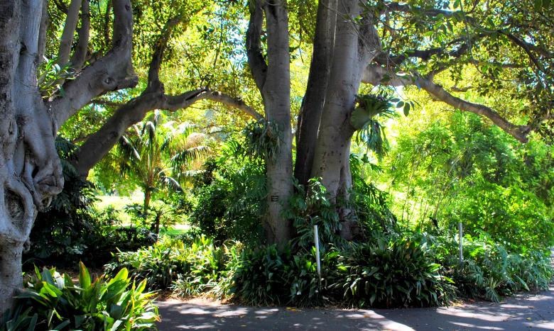Free stock image of Green Garden created by Robert Priest