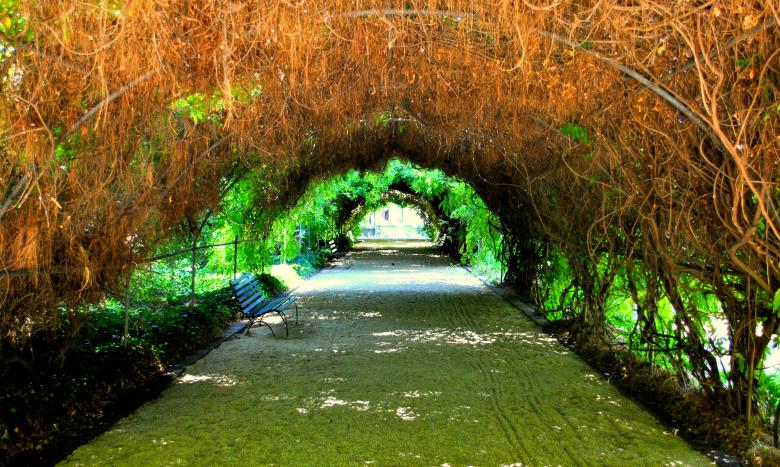 Free stock image of Tree Tunnel created by Robert Priest
