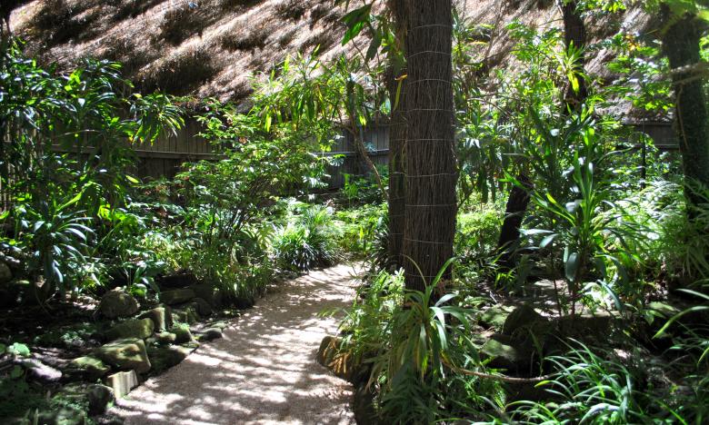 Free stock image of Garden created by Robert Priest
