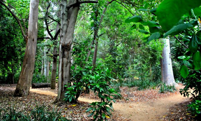 Free stock image of Garden Walkways created by Robert Priest