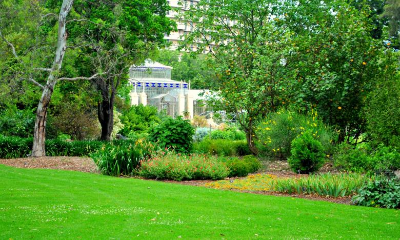 Free stock image of Glass House from a distance created by Robert Priest