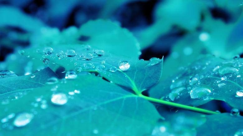 Free stock image of Raindrops created by Hotabch