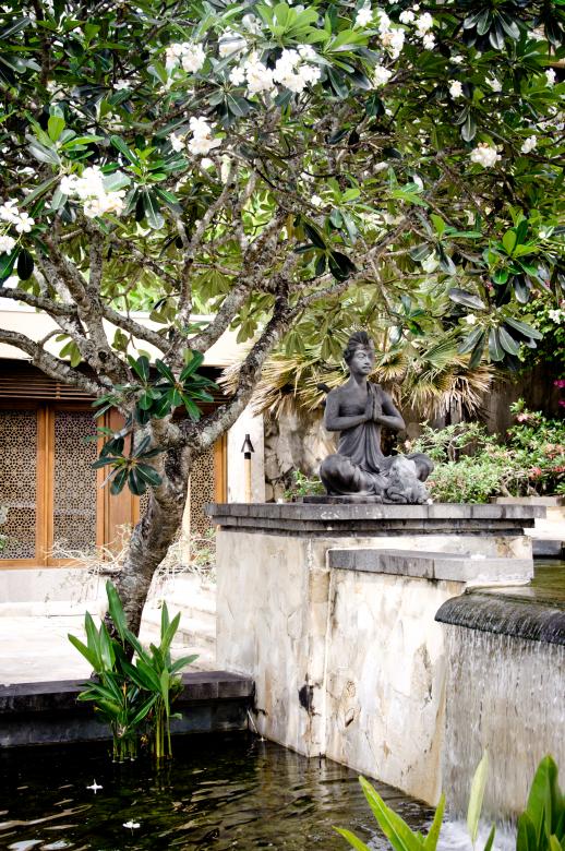 Free stock image of Buddha and tree created by Luka