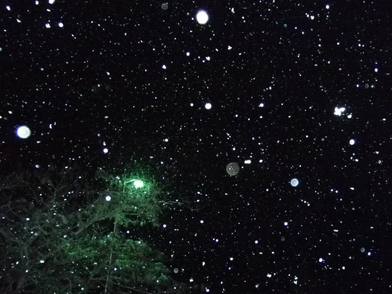 Free stock image of Falling Snow created by Samantha S