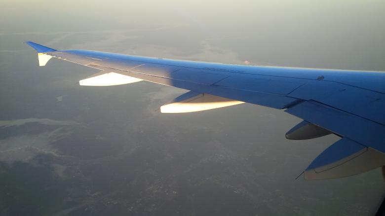 Free stock image of Also On The Wing created by Samantha S