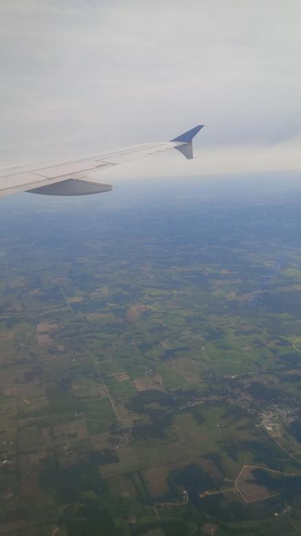 Free stock image of On The Wing created by Samantha S