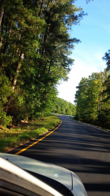 Free stock image of The Road Less Traveled created by Samantha S