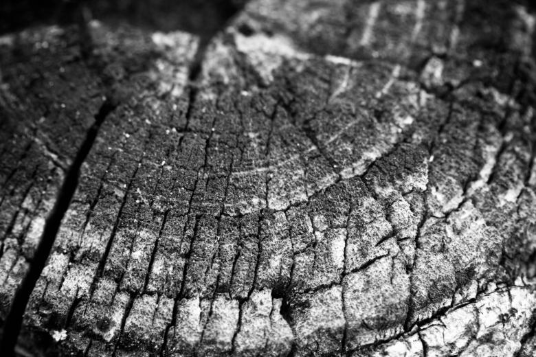 Free stock image of Old wood created by Alen
