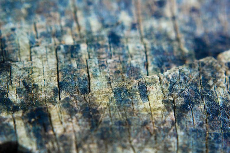 Free stock image of Old wood created by Alen