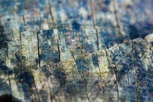 Free Stock Photo of Old wood