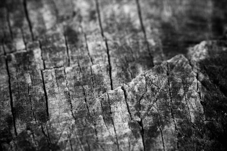 Free stock image of Old wood created by Alen