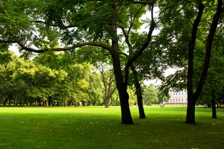 Free stock image of Green lawn in the park created by 2happy