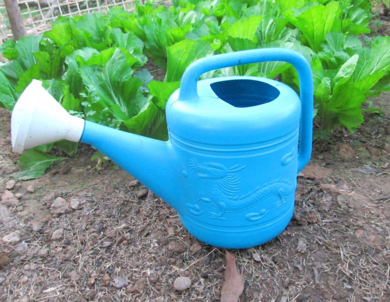 Free stock image of Watering with vegetable garden created by Galayanee