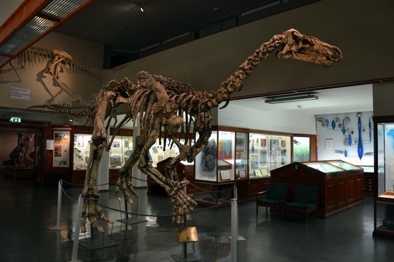 Free stock image of Iguanodon bernissartensis created by Tomas Adomaitis