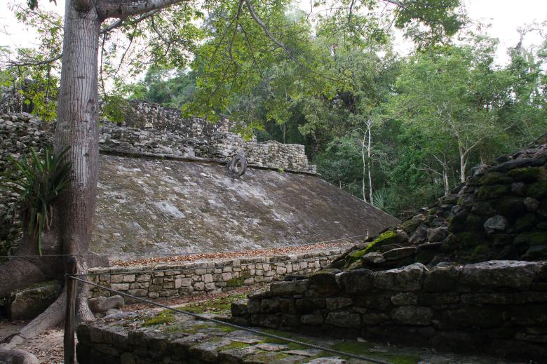 Free stock image of Coba created by Geoffrey Whiteway