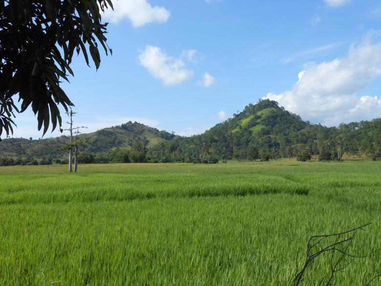 Free stock image of Green mountains created by fakhliansyah
