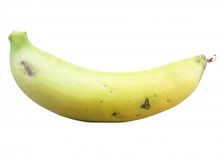 Free stock image of Bananas isolated on white background  created by Galayanee