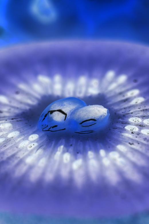 Free stock image of Blue Organic Background created by François