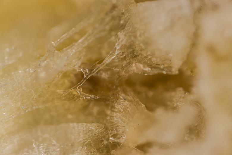 Free stock image of Organic fruit flesh background created by François