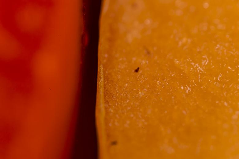 Free stock image of Red and Yellow Vegetable Closeup created by François