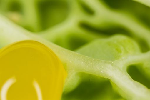 Fruit Macro Background - Free Stock Photo