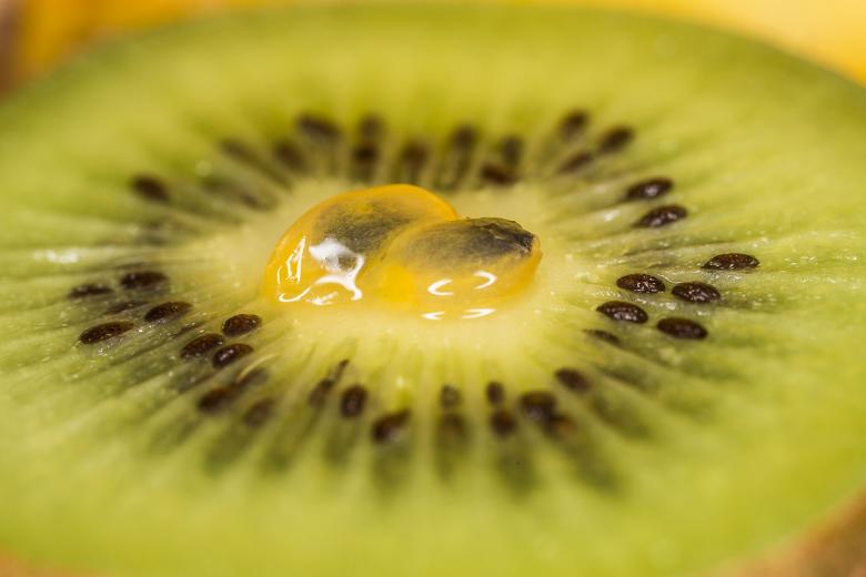 Free stock image of Kiwi Close Up created by François