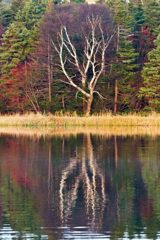 Free stock image of Lake reflection created by Geoffrey Whiteway