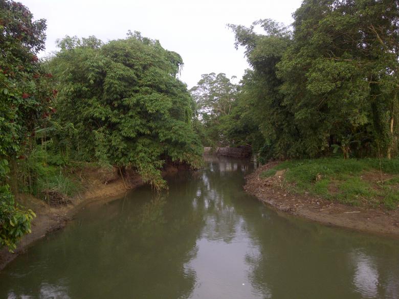 Free stock image of River and trees created by fakhliansyah