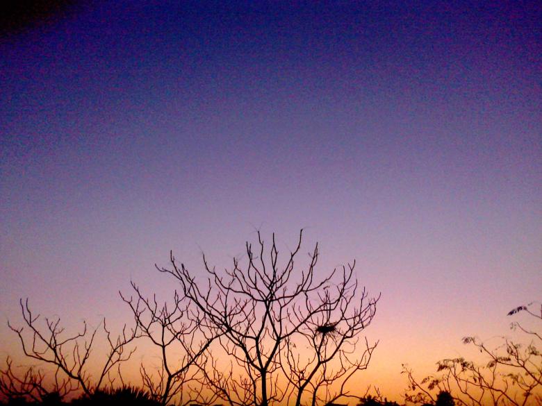 Free stock image of Beautiful Evening created by Biswanath Das