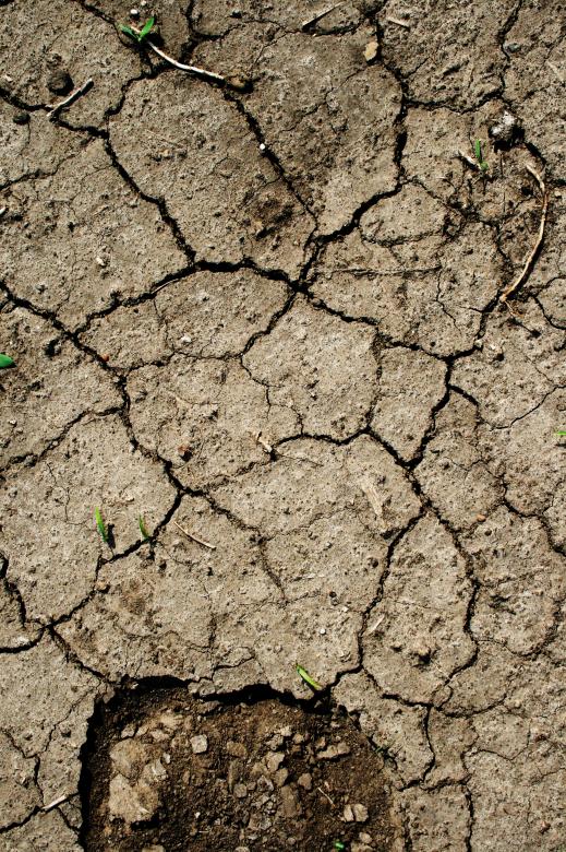Free stock image of Cracked Mud Texture created by Free Texture Friday