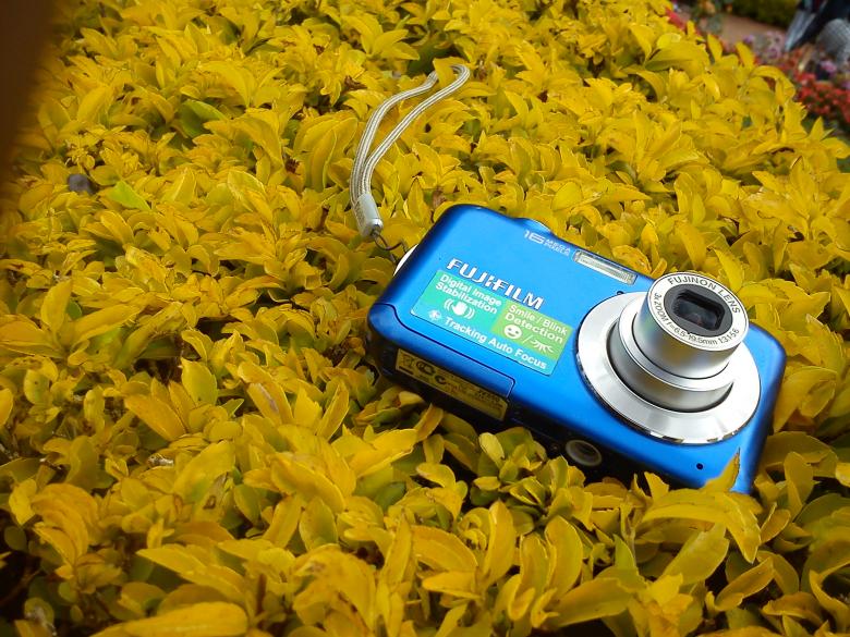 Free stock image of Focus created by Ramanathan Veerappan