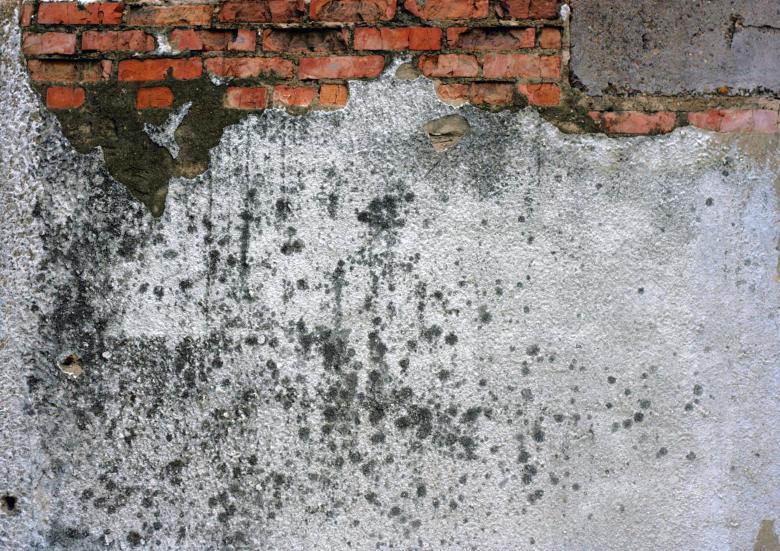 Free stock image of Wall Texture created by 2happy