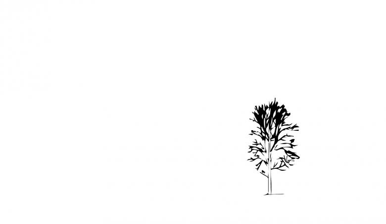 Free stock image of Tree silhouette created by Yurki Arcurs
