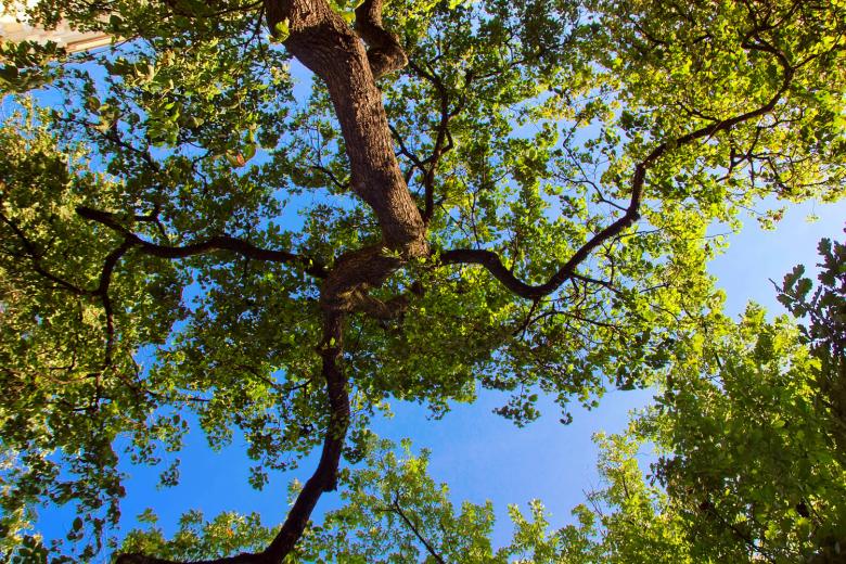 Free stock image of Spring created by 2happy