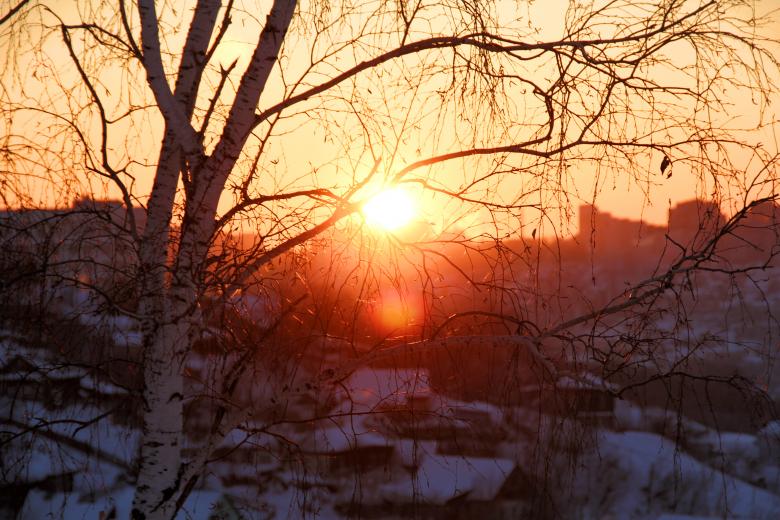 Free stock image of Tree branch in sunshine created by 2happy