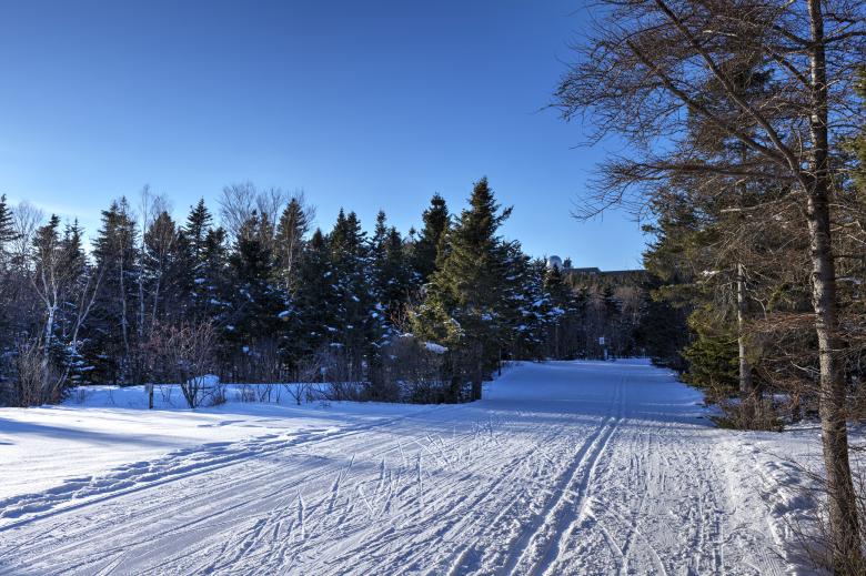Free stock image of Ski course created by Geoffrey Whiteway
