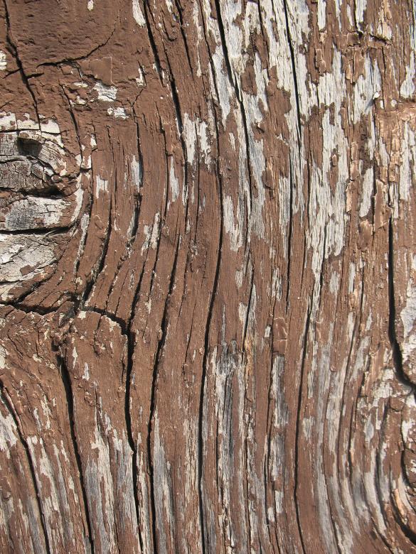Free stock image of Old Wood Texture created by Free Texture Friday