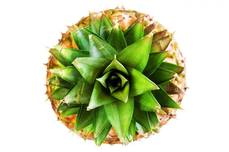 Free stock image of Pineapple Top created by 2happy