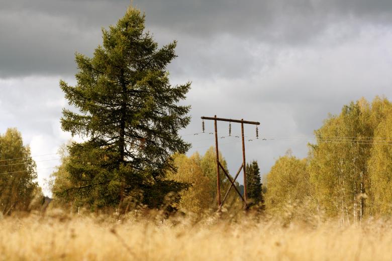 Free stock image of electricity post in autumn forest created by 2happy