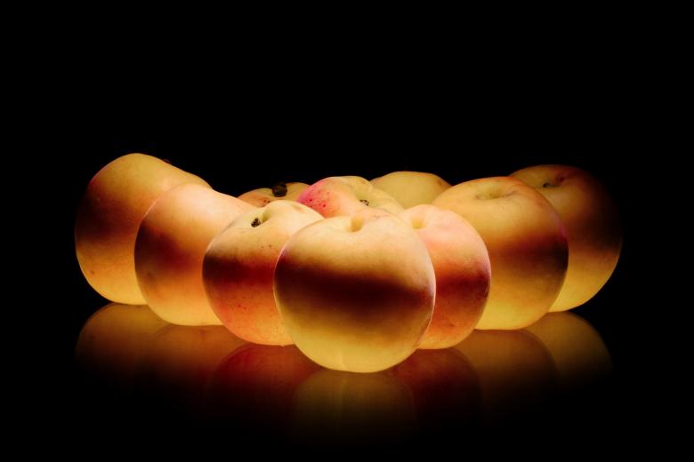 Free stock image of Apricots peaches created by 2happy