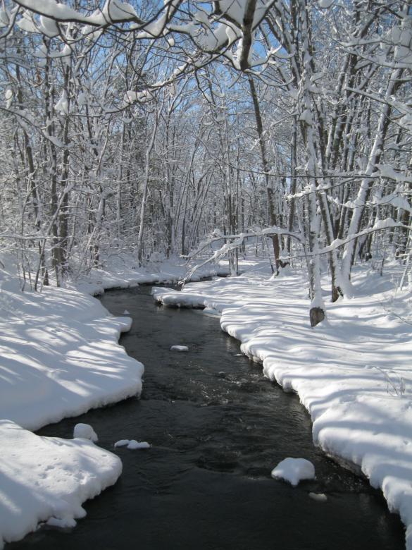 Free stock image of Snowy Stream created by Will Zell