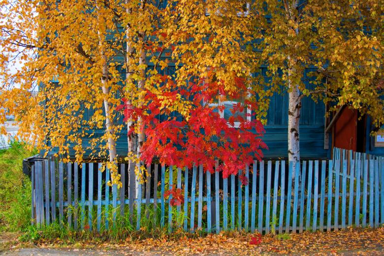 Free stock image of Colorful autumn leaves created by 2happy