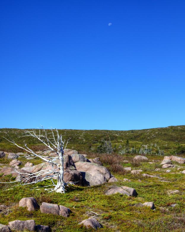 Free stock image of Barren Landscape created by Geoffrey Whiteway