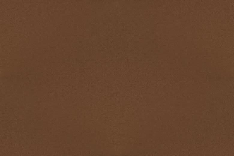 Free stock image of King Leather created by Sørensen Læder