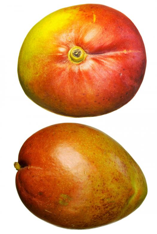 Free stock image of Mango  created by 2happy
