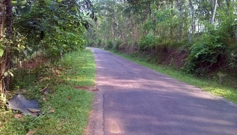 Free stock image of Green Village Road created by Tona sam