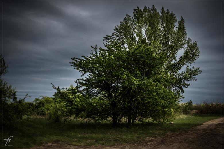 Free stock image of Evening about the Lake created by Frantisek Pech