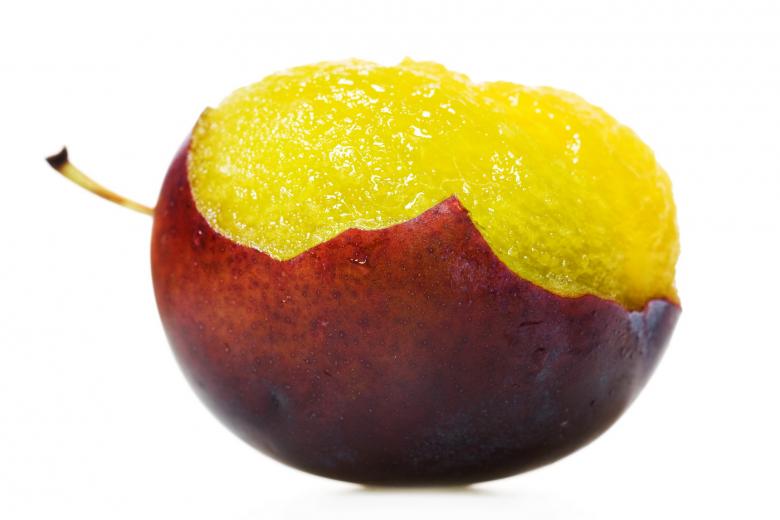 Free stock image of Plum Meat created by 2happy